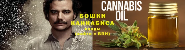 гидропоника Алзамай