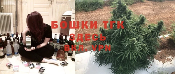 тгк Алексин