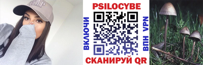 Псилоцибиновые грибы Psilocybine cubensis Полысаево