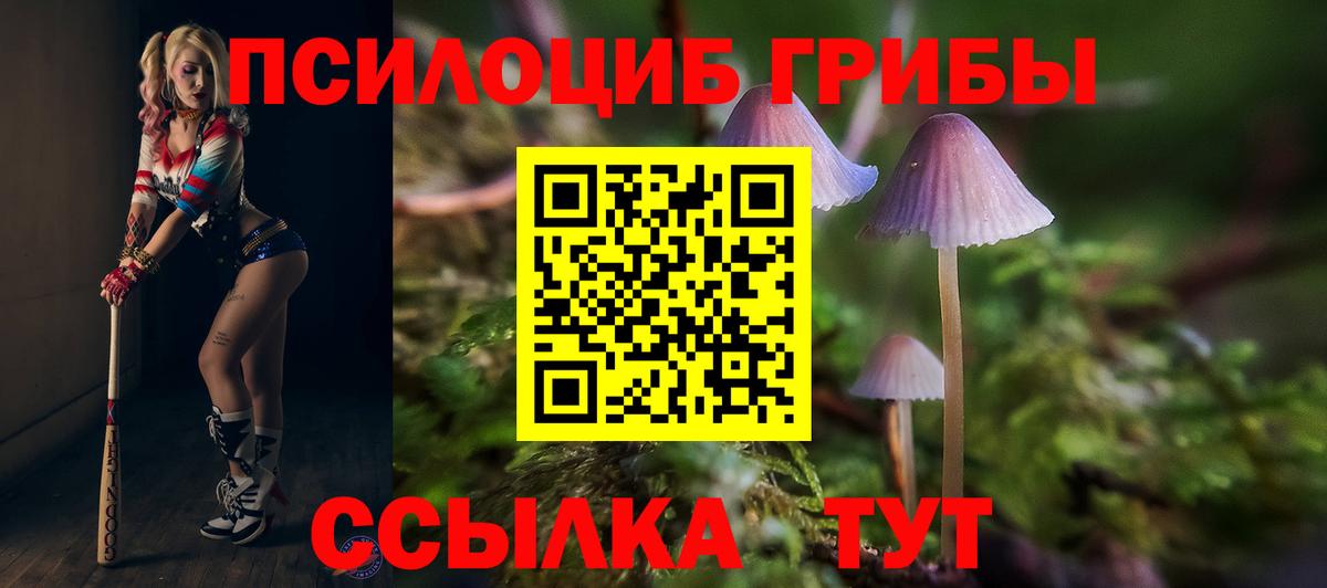 Полысаево  Галлюциногенные грибы Magic Shrooms  Вход с VPN  Псилоцибиновые грибы мухоморы 